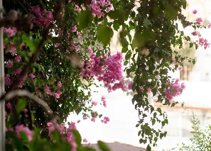 Mare Garden * Akyarlar