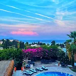 Mare Garden