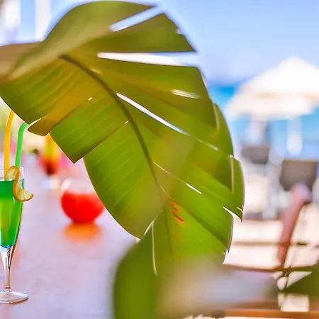 Mare Garden アキアーラ