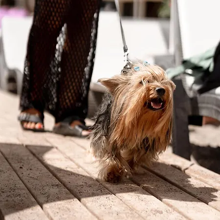 Mare Garden Ξενοδοχείο *