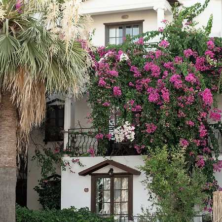 Hotel Mare Garden *