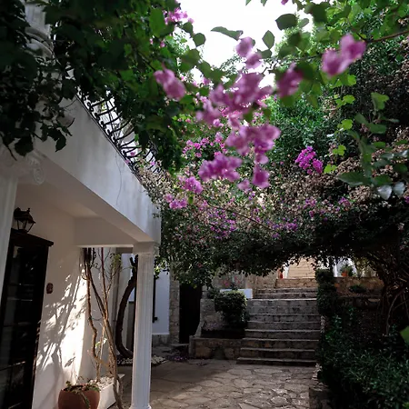 Mare Garden Hotel *
