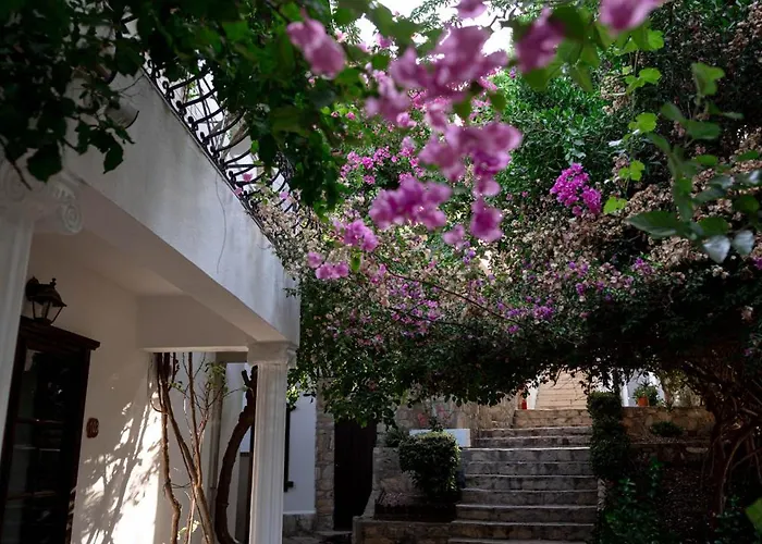 Mare Garden Акьярлар