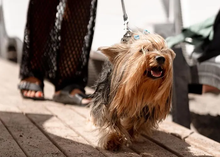 Mare Garden Отель *