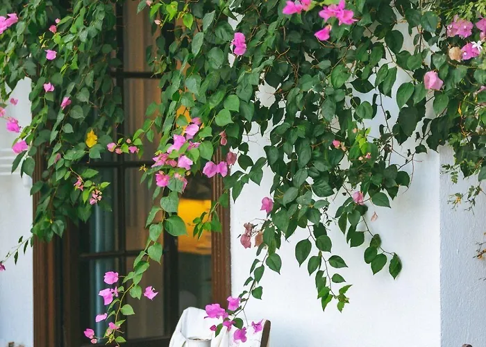 Mare Garden Акьярлар